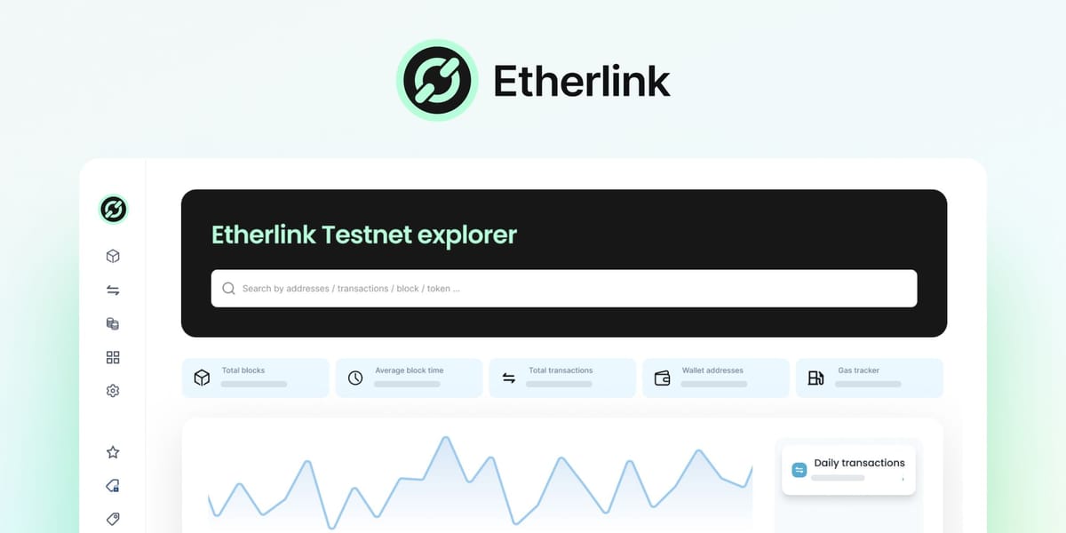 Blockscout News: February 2024